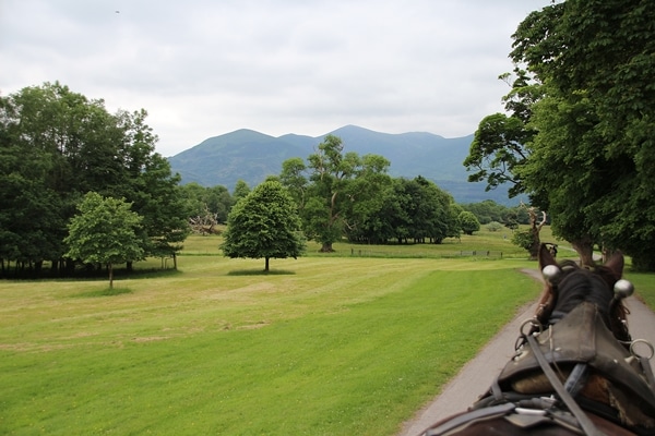 view from horseback going through a park