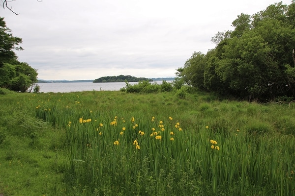 A large green field with a lake in the distance