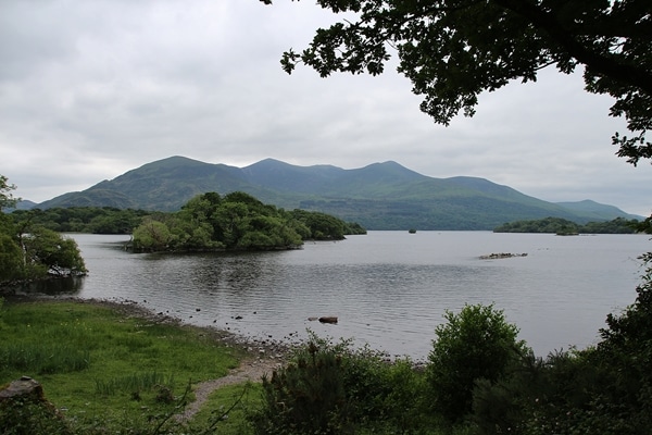 a large lake in a park with mountains in the distance