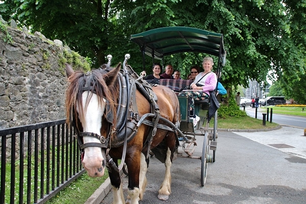 a group of people sitting in a horse drawn carriage