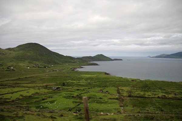 a lush green field on a bay