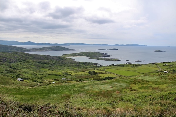 a lush green hillside on the shoreline