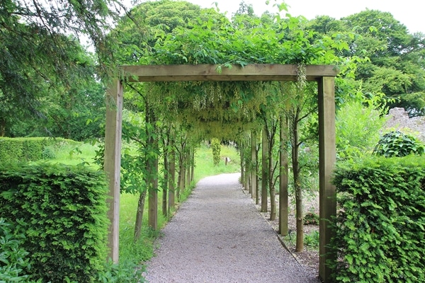 A path in a garden