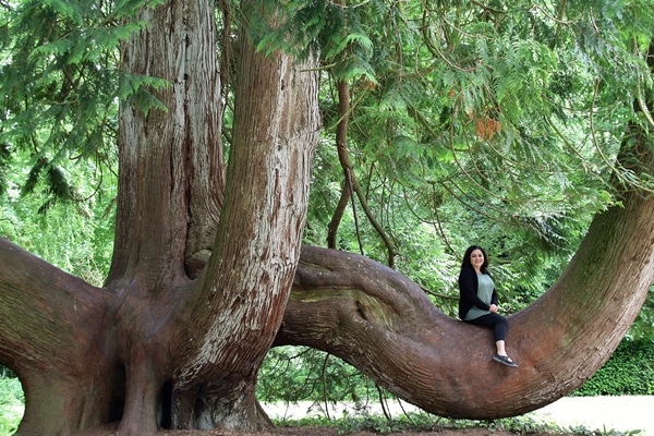 a person sitting on a large branch on a tree