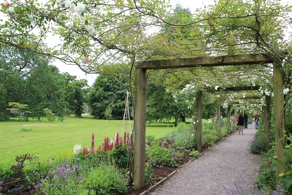 A path with trees through a garden