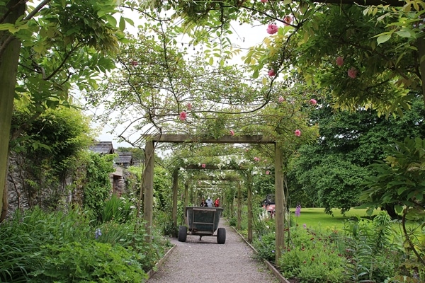 a walkway through a garden