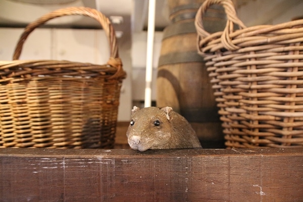 a fake rat between 2 baskets