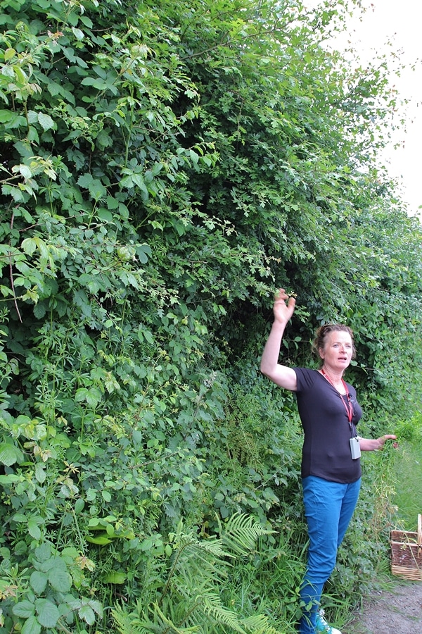 A person standing next to a tree