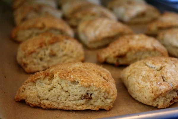 A close up of scones on a baking sheet