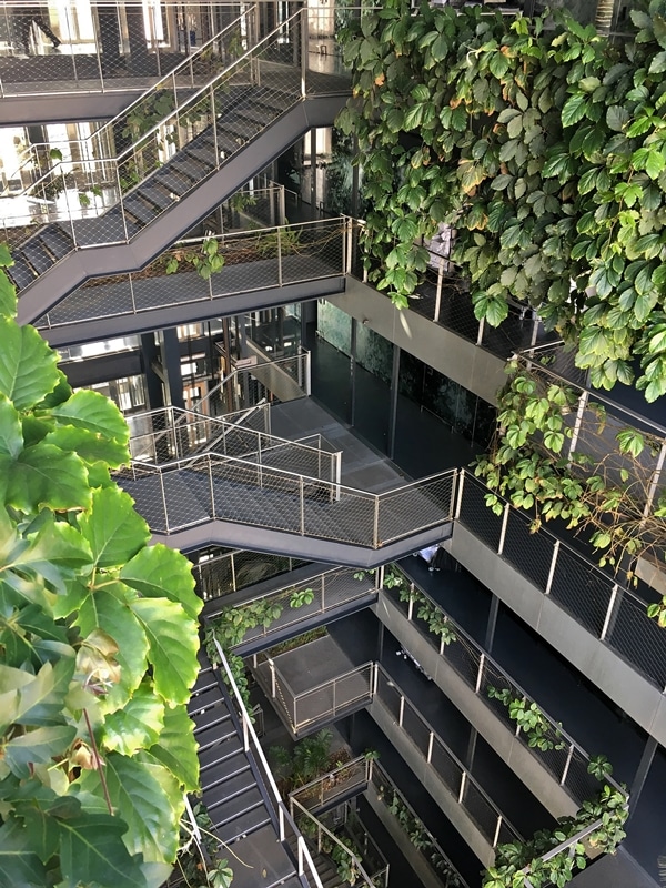 A building with palm trees in the stairwell