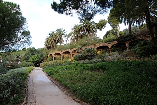 A path with trees and plants