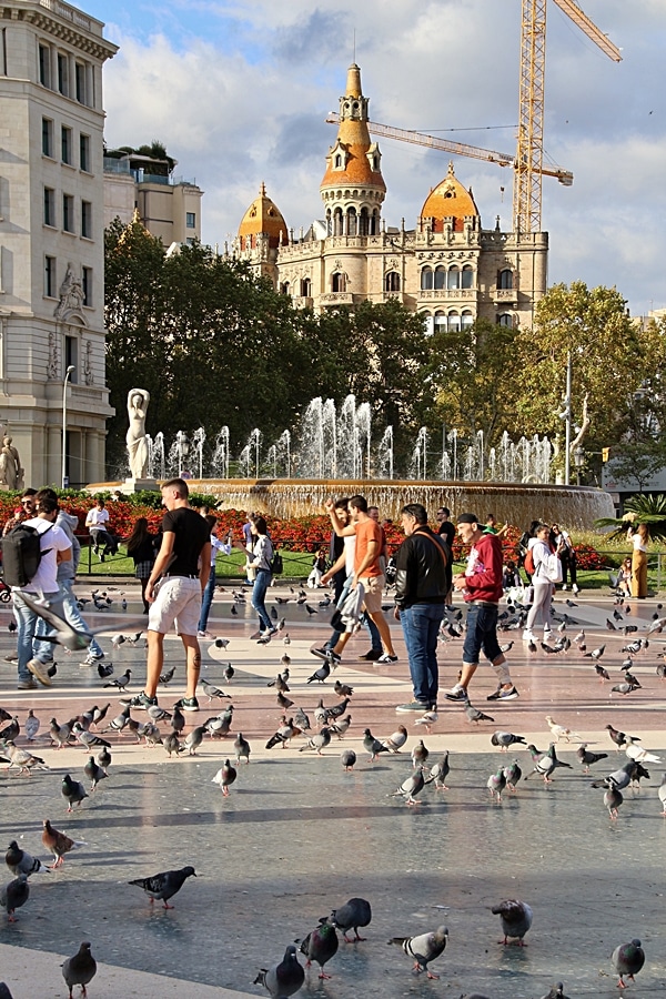 people and pigeons in a city square