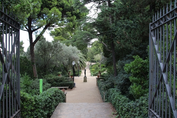 A garden with a walkway down the center