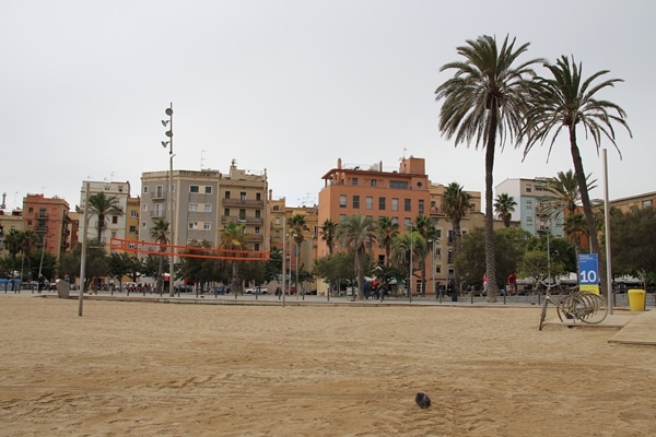 view of city buildings from the beach