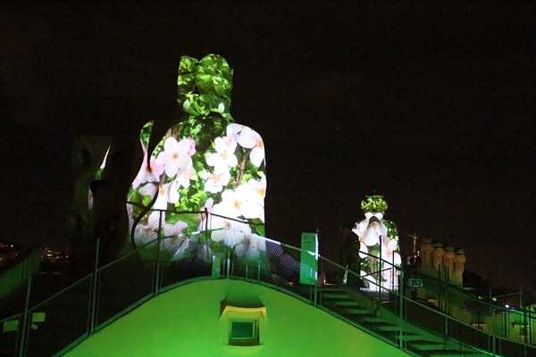 flowers illuminated on the side of stone chimneys at night