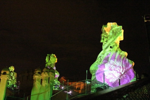 flowers illuminated on the side of stone chimneys