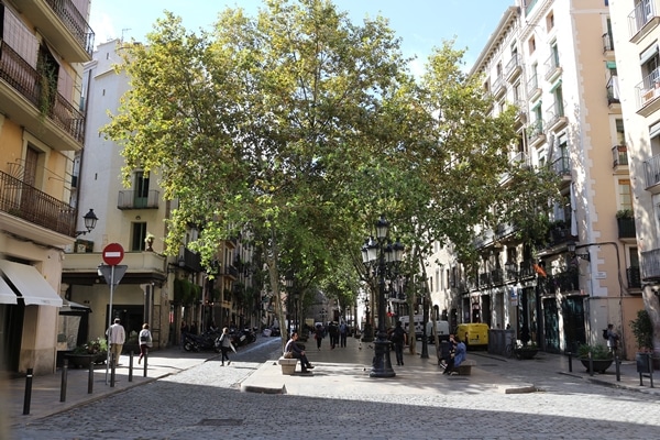 A group of people walking on street with lots of trees