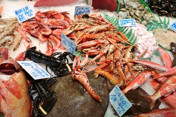 a closeup of a seafood display