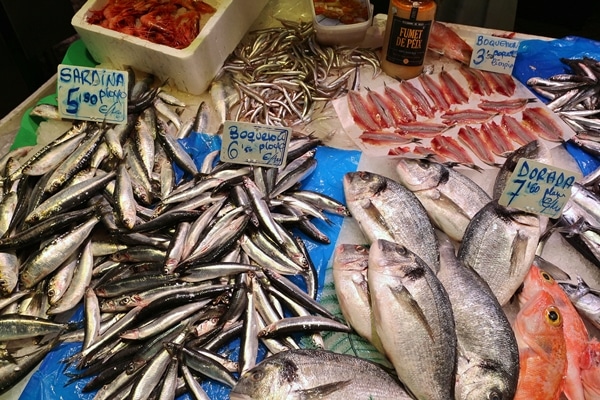 a display of fresh seafood