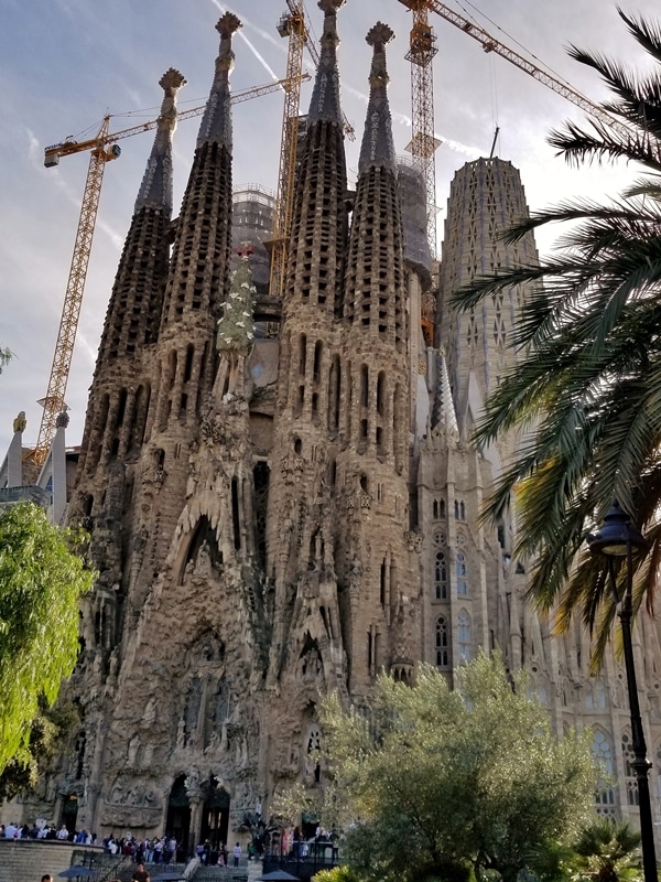 A group of palm trees with Sagrada Família in the background