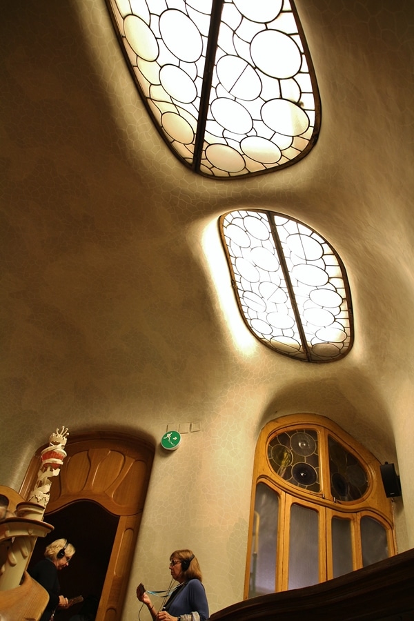 view looking up at oval skylights