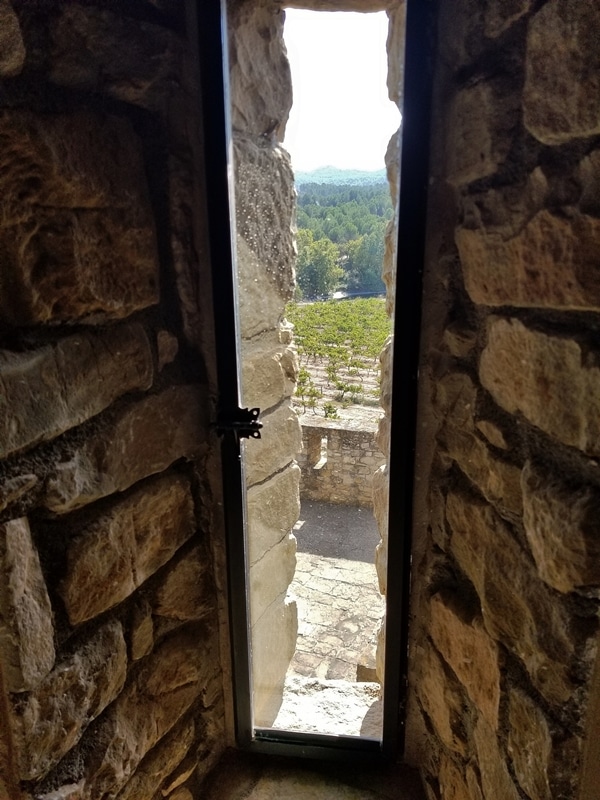 view outside through a tall narrow window