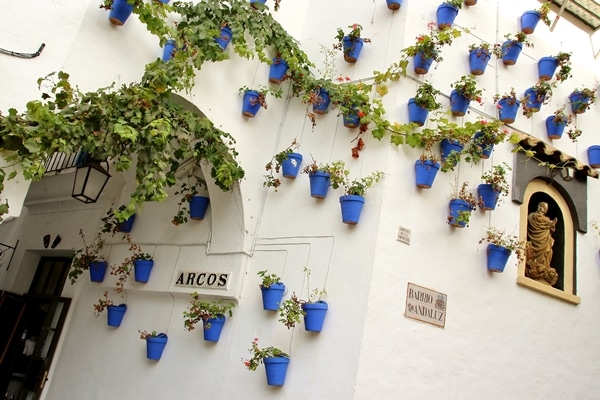 closeup of a whitewashed building with blue pots on the wall