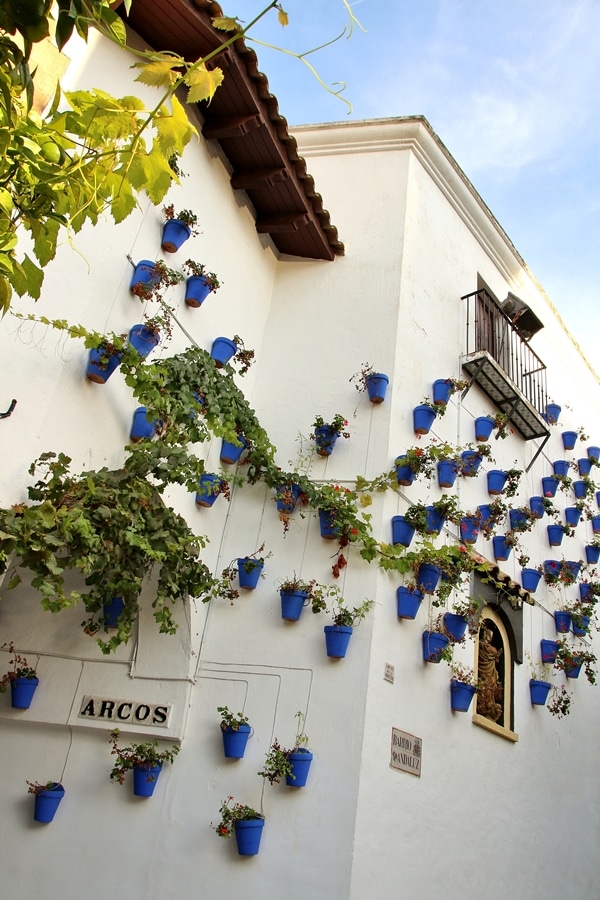 a view of a whitewashed building with blue pots on the wall