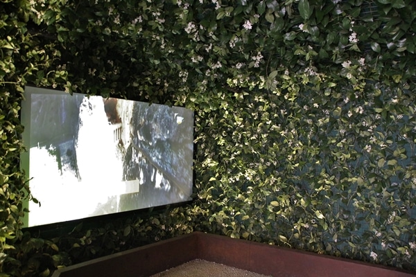 a room with leaves on the walls