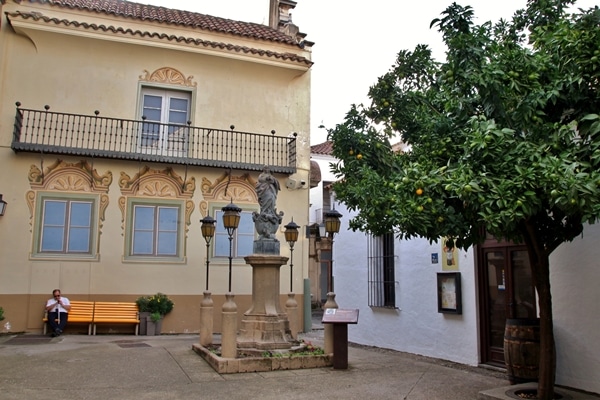 a courtyard with a tree