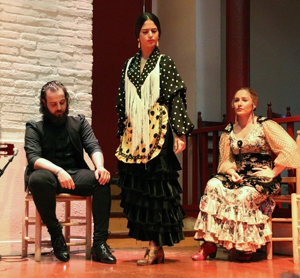 a female flamenco dancer on a stage