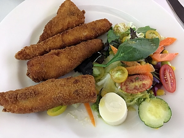 a plate of fried fish sticks with salad