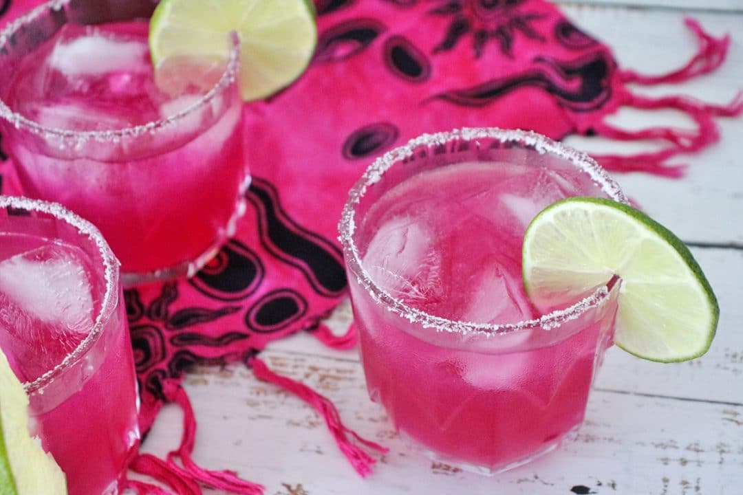 Prickly Pear Margarita Recipe Mission Food Adventure