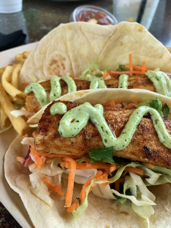 closeup of a plate of fish tacos