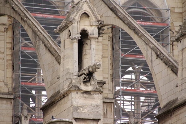 a closeup of the gargoyles of Notre Dame Cathedral