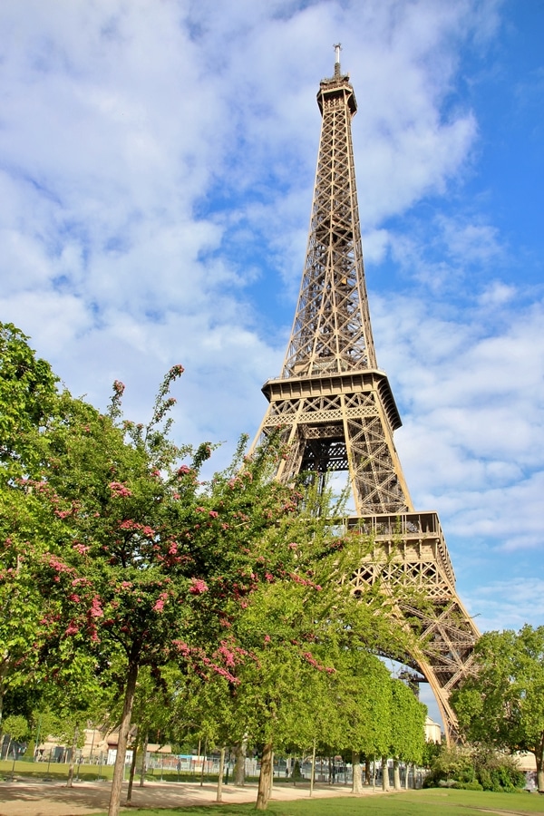 the Eiffel Tower with floral trees in front