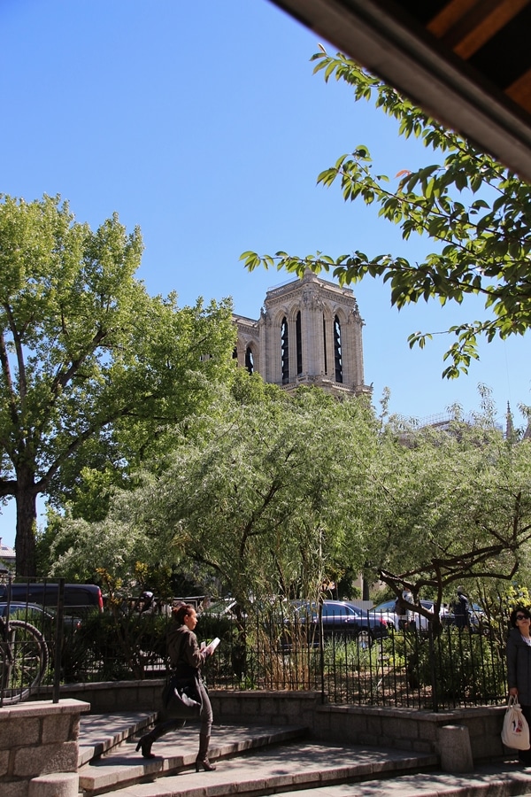 view of Notre Dame Cathedral through some trees