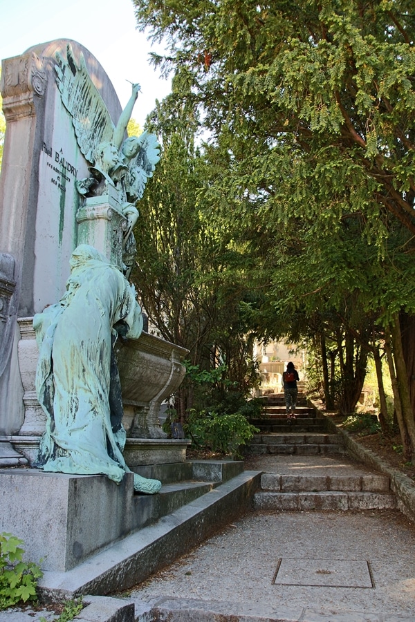 a shadowy pathway through trees in a cemetery