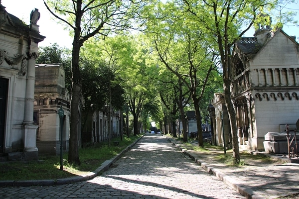 a tree-covered walkway through a cemetery