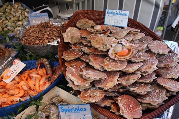 scallops in their shells, and other seafood at a farmer\'s market