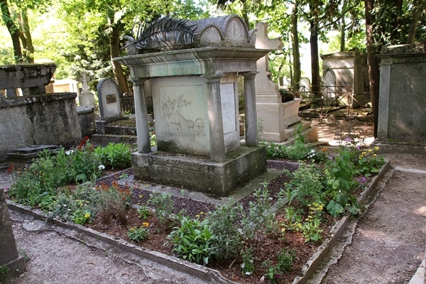 a grave surrounded by plants