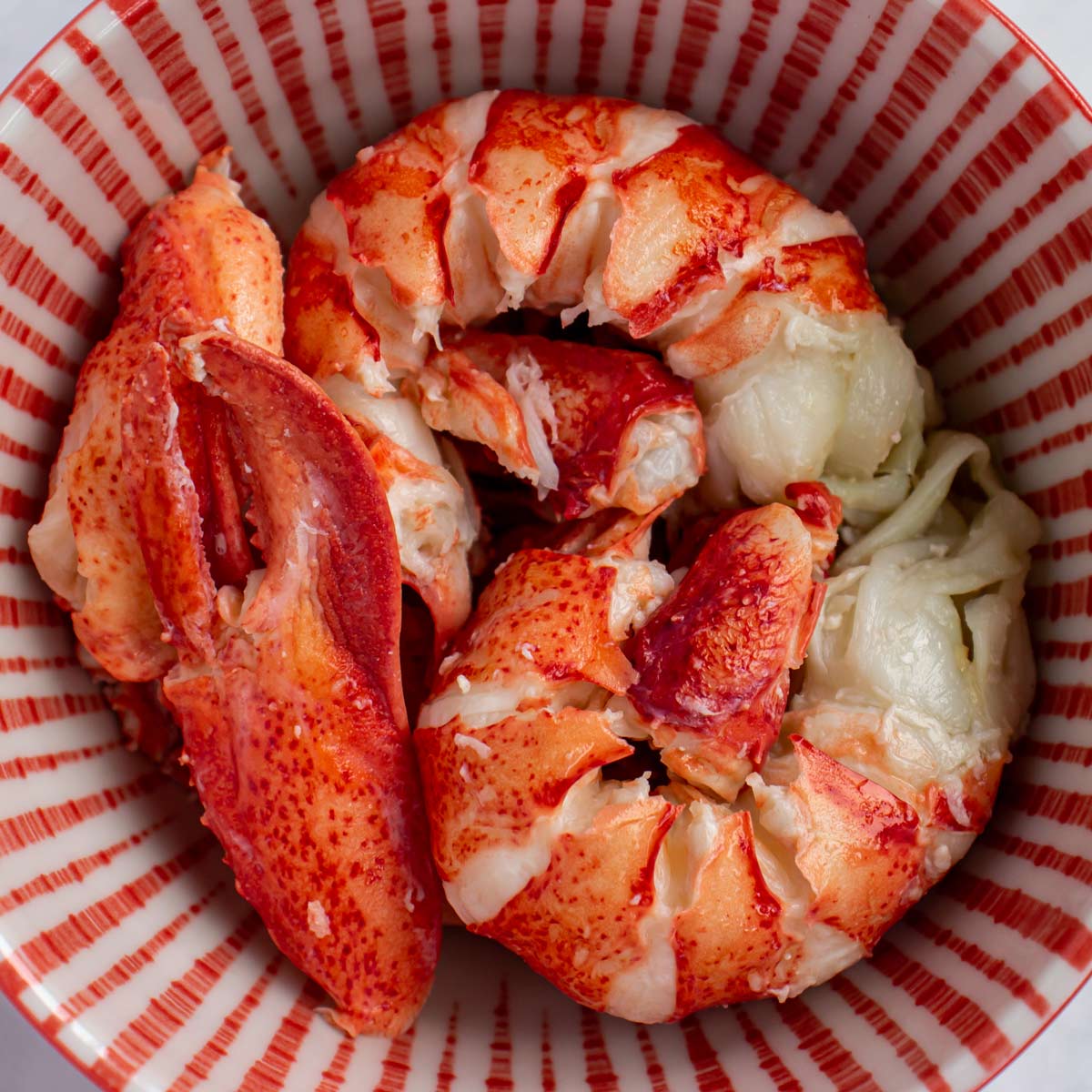Closeup of lobster meat in a red and white bowl.