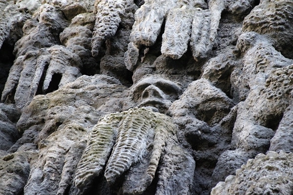 a stone wall with a hidden face in the rocks