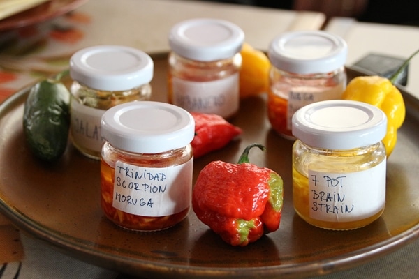 A close up of a variety of hot sauces in tiny jars