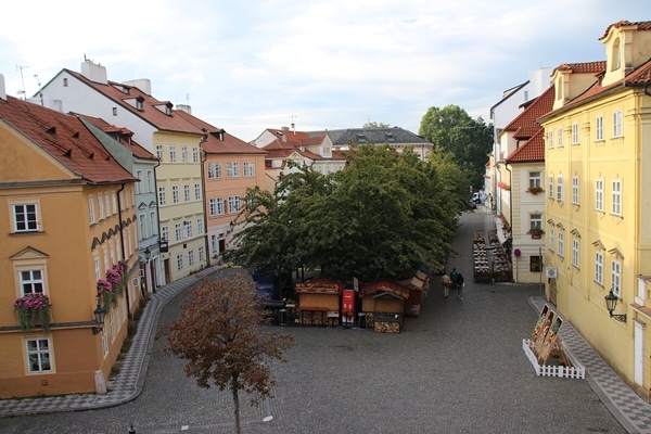 view of a small square with trees in the center