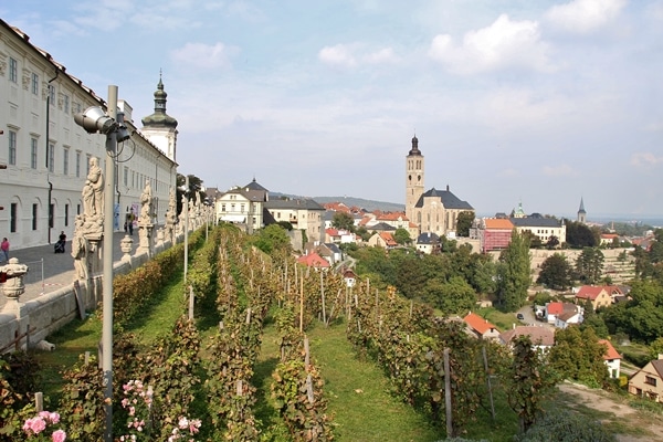 a small vineyard with a town in the distance