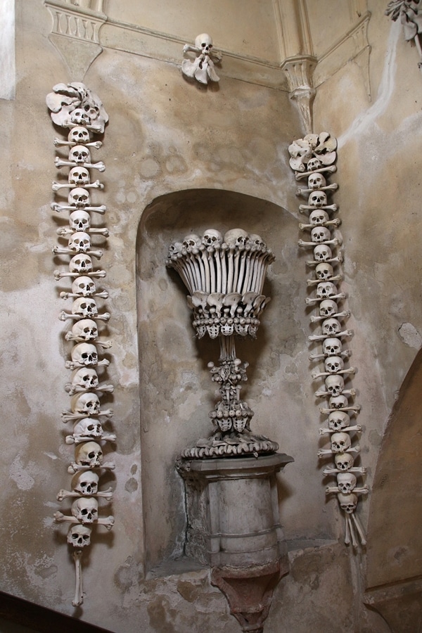 wall decorations made with bones