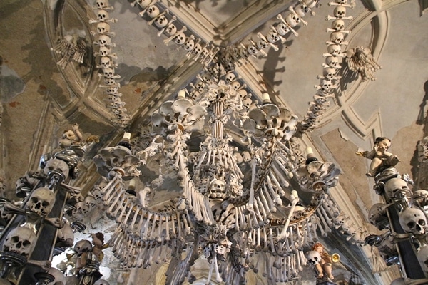 closeup of a chandelier made of human bones