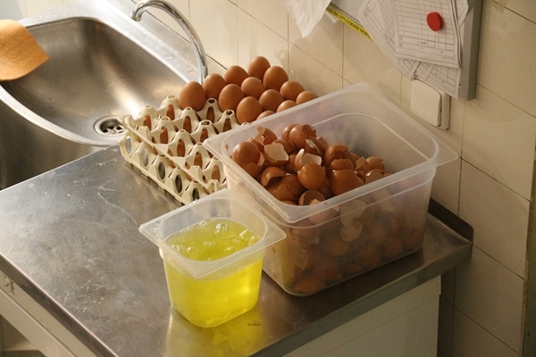 a bunch of egg shells in a plastic bin with egg whites in another plastic bin