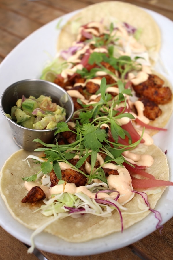 A plate of fish tacos